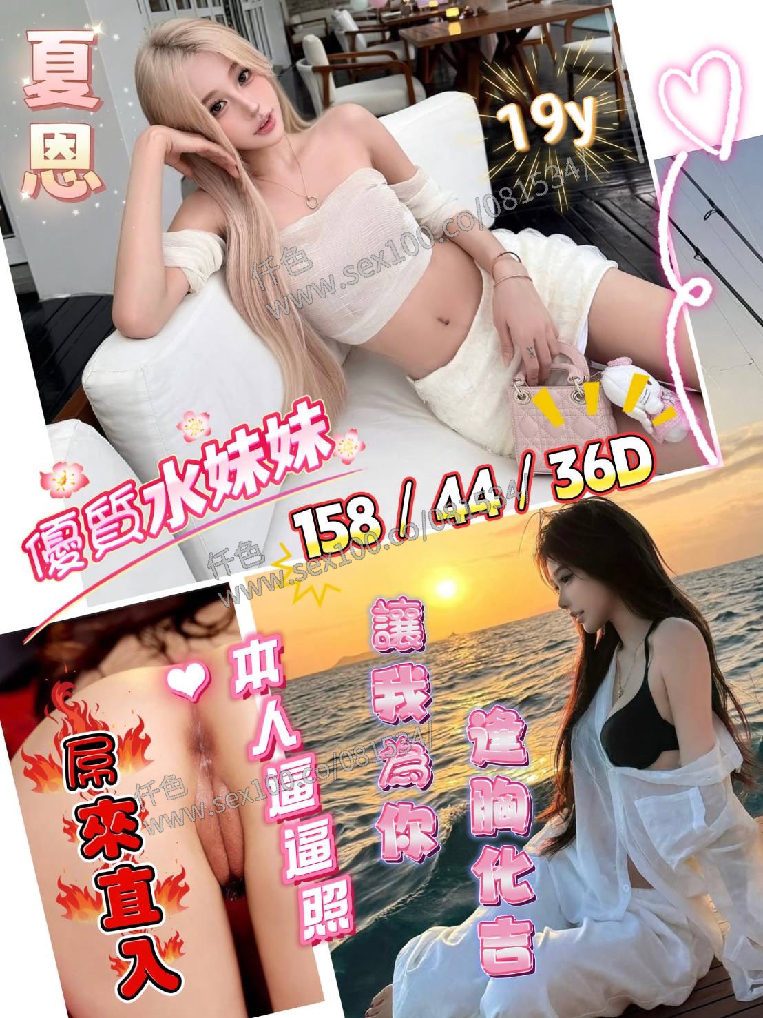 夏恩 (YGZ6XFEQT9) - 圖片 3 - 越南妹 台南 - 展示用 定點茶/外約/外送茶