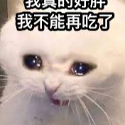 眾愛卿請輪番上朕