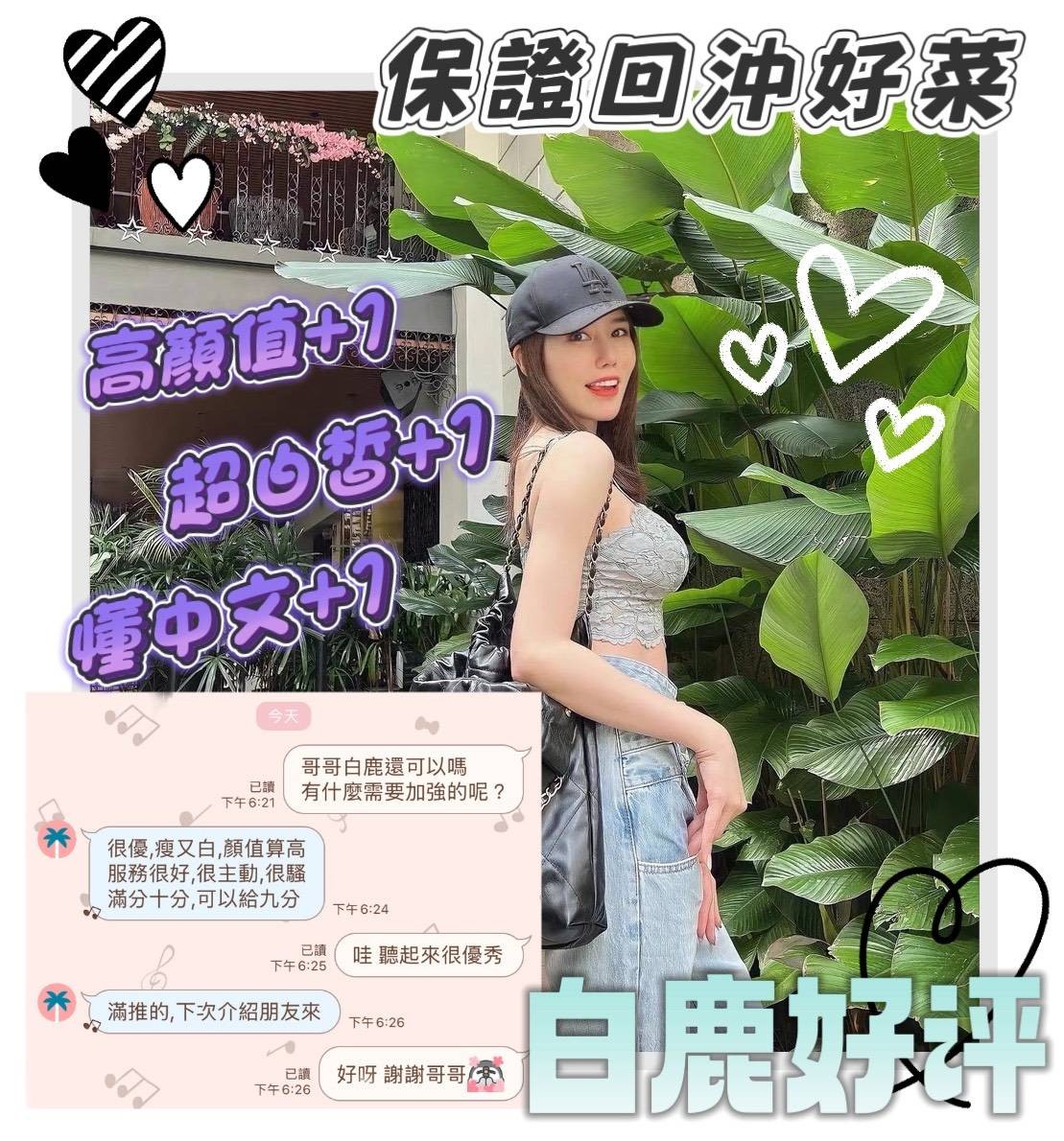 白鹿