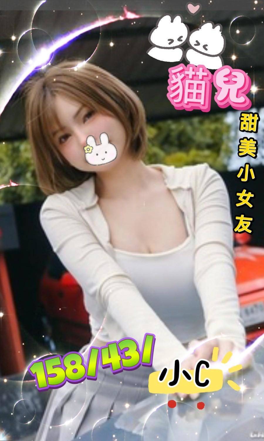 貓兒