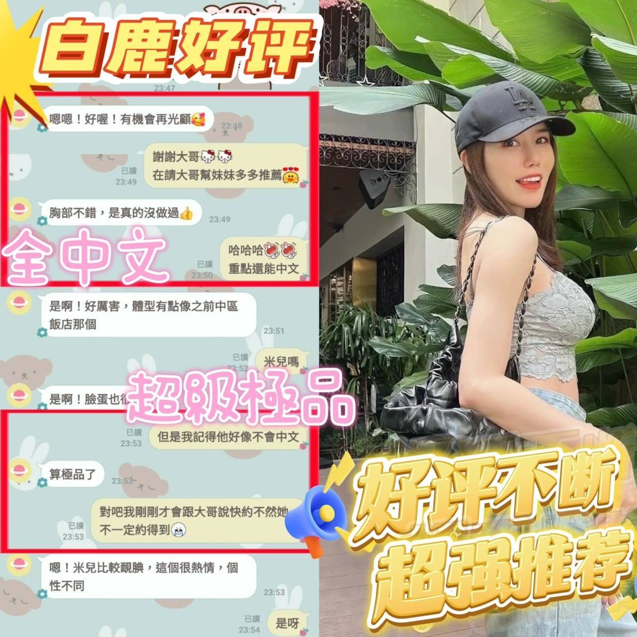 白鹿