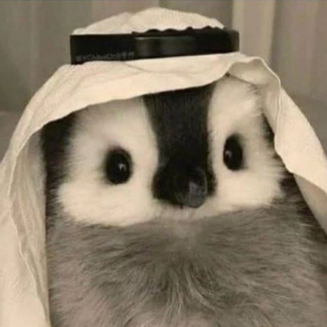 大奶玩家不說謊