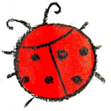 CNK