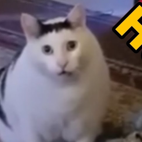 哇噻