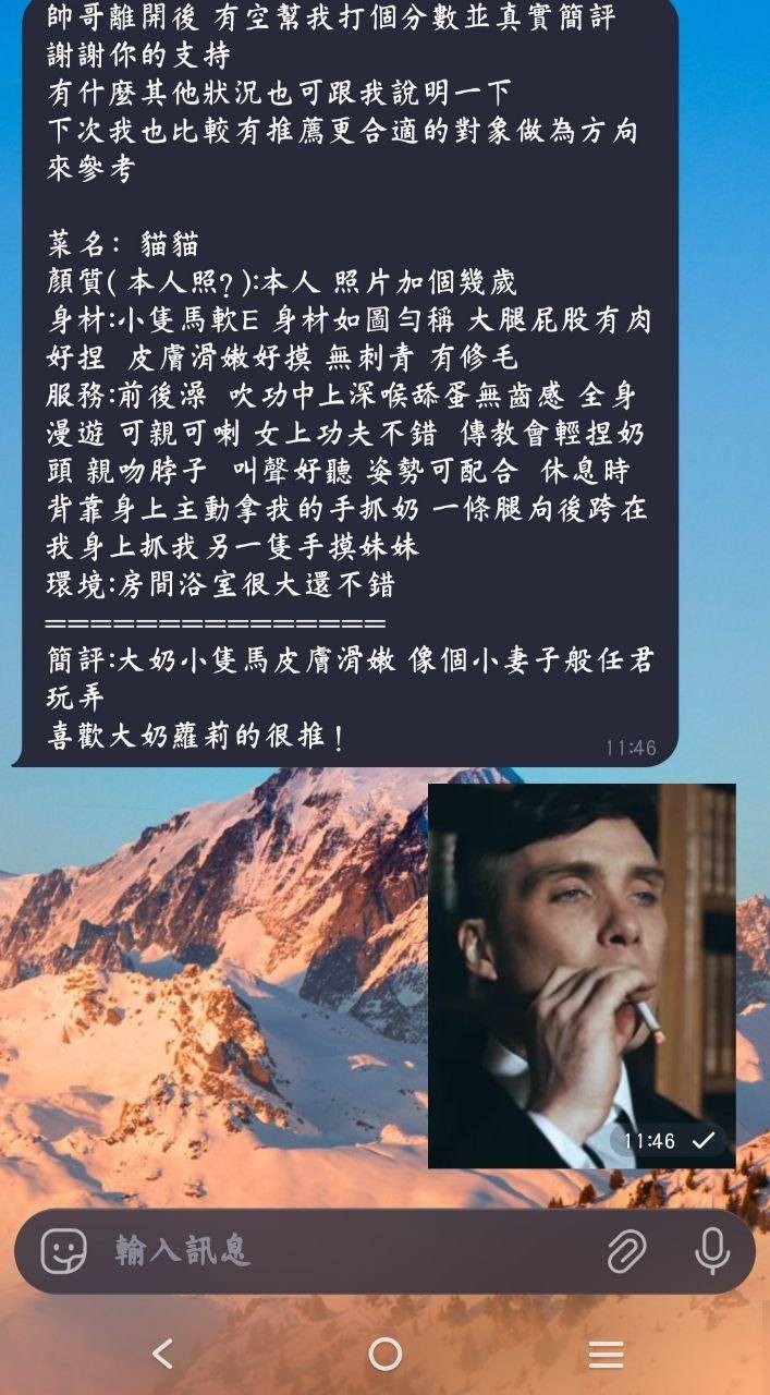 貓貓