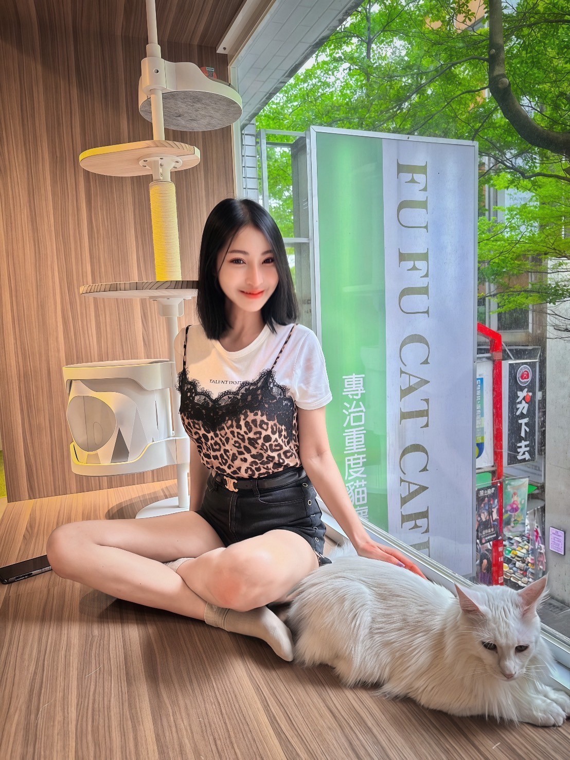 伍星級