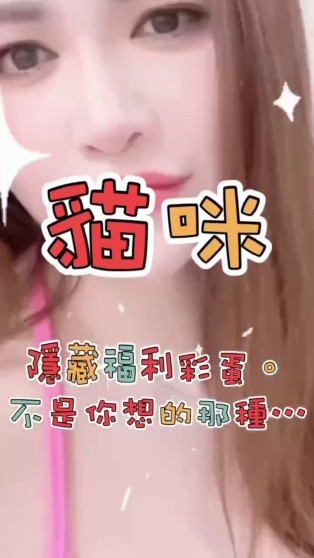 貓咪