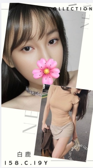白鹿