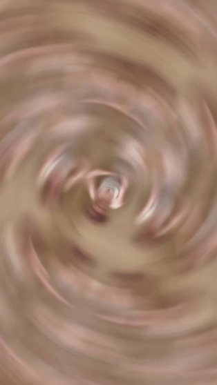 金孝琳
