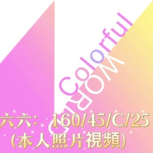六六