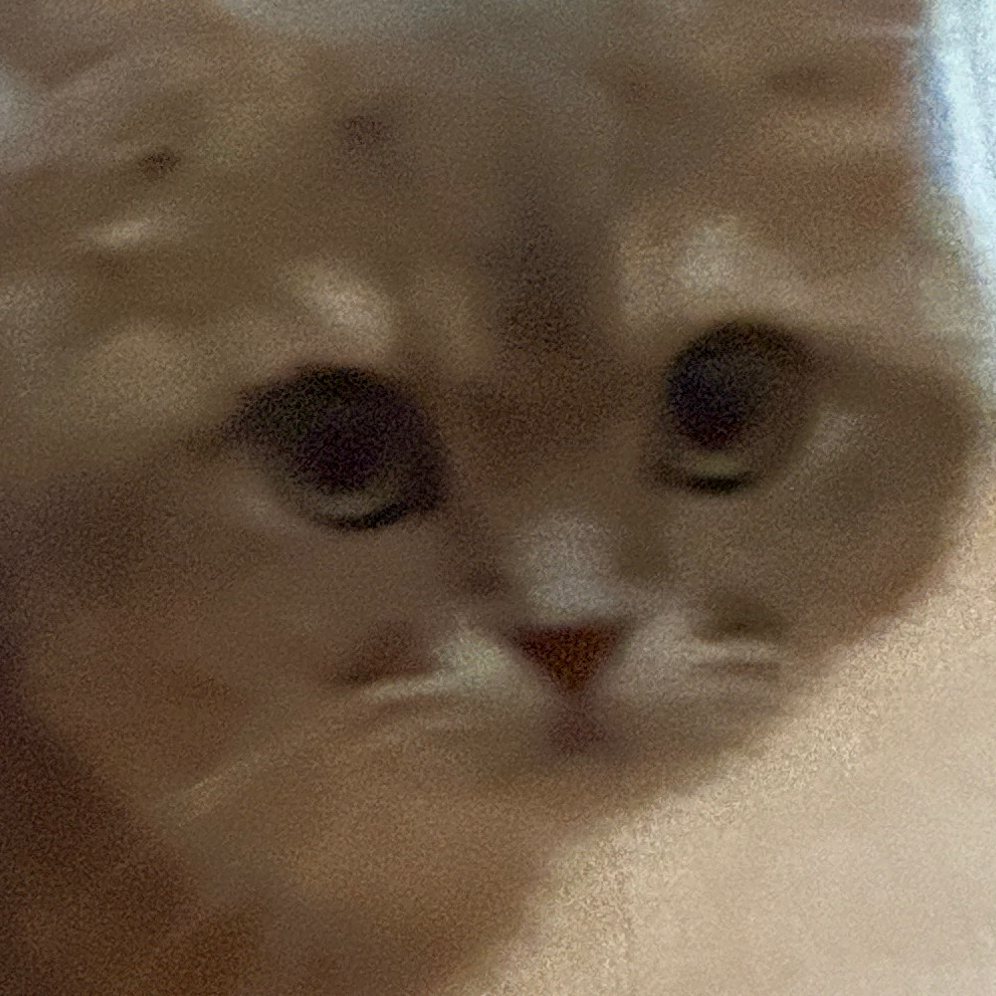 Kai