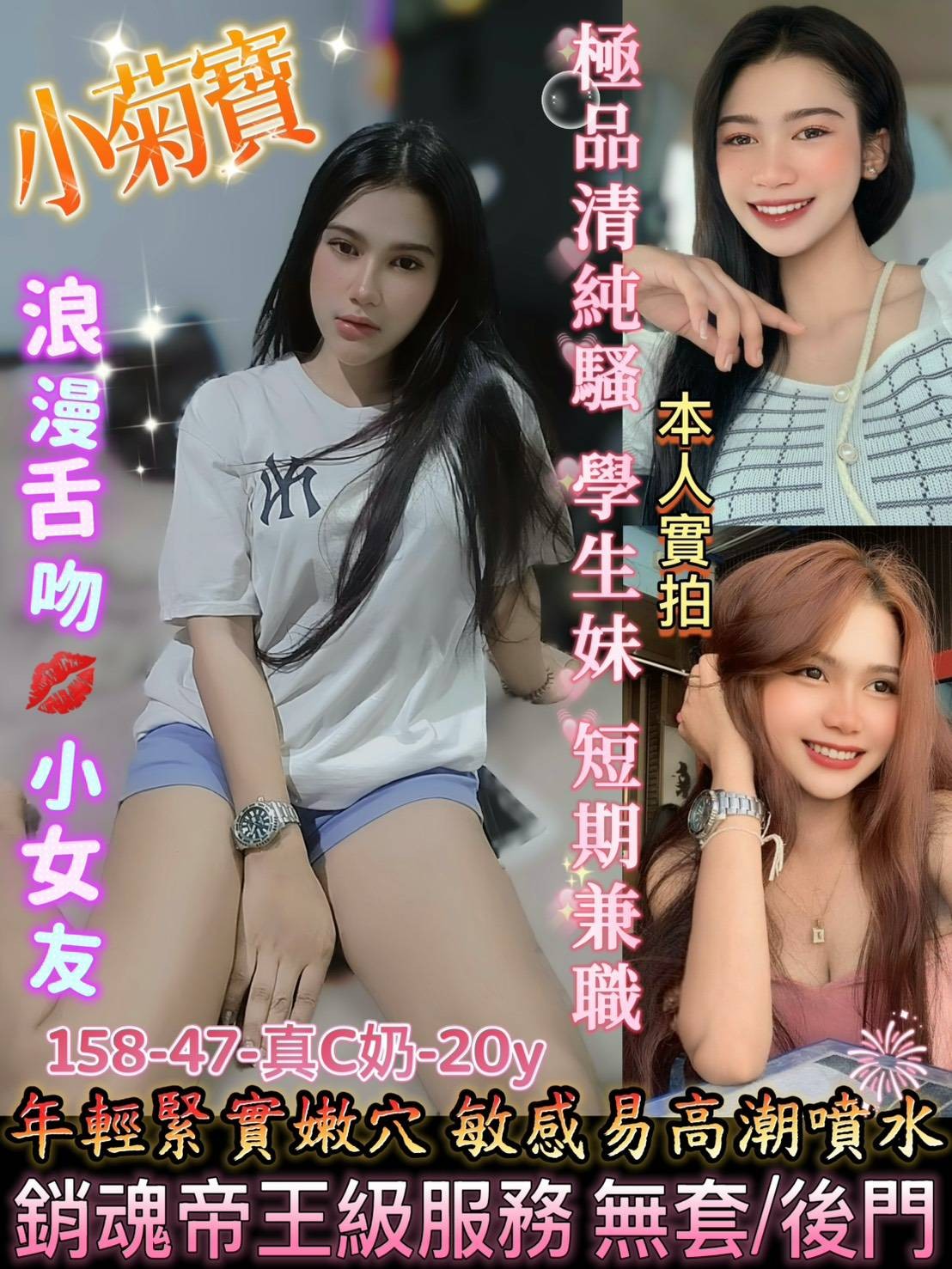 小菊寶