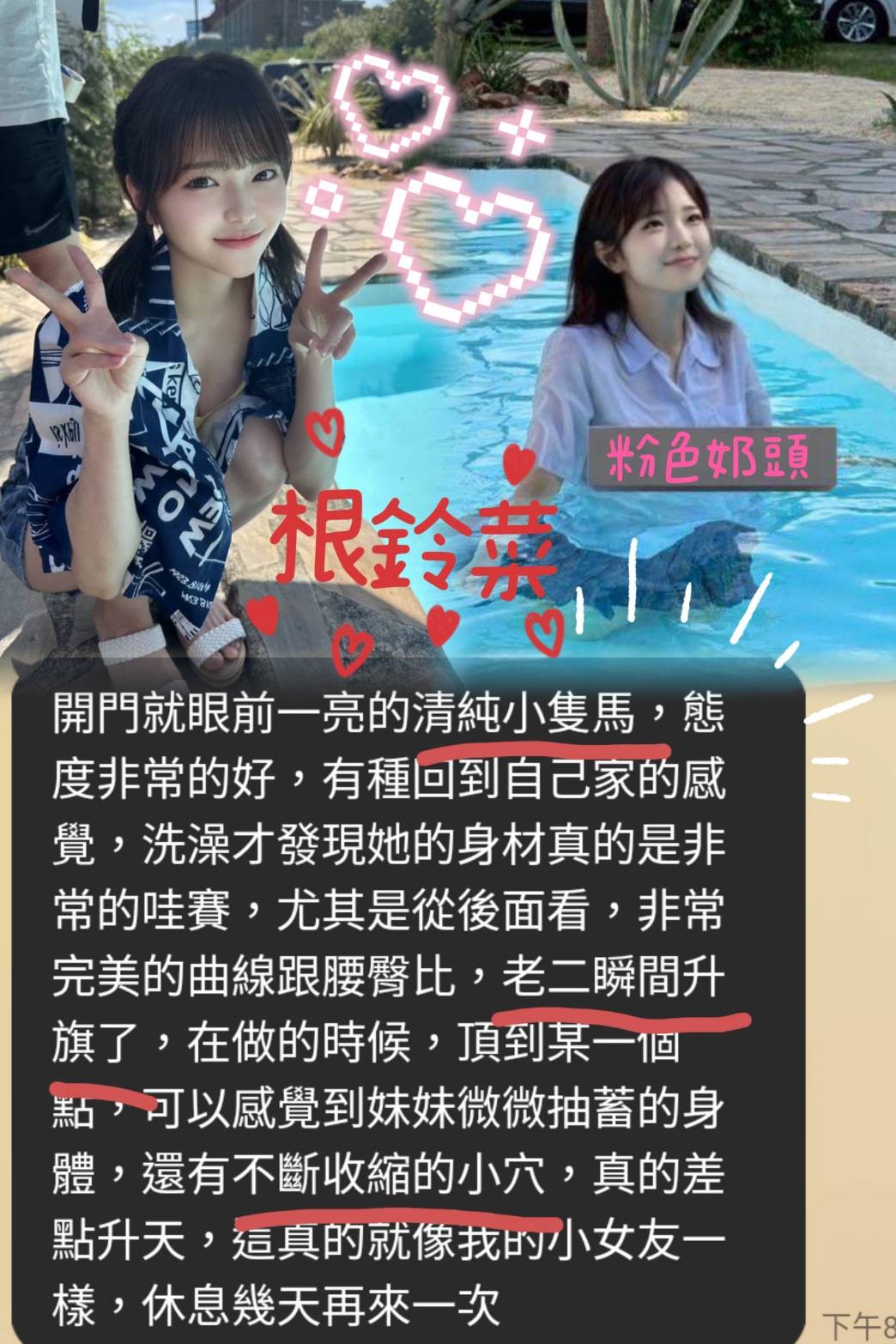 根鈴菜