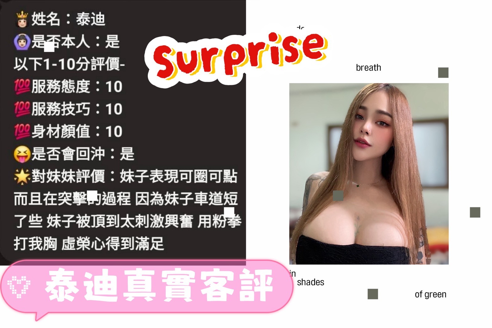 泰迪