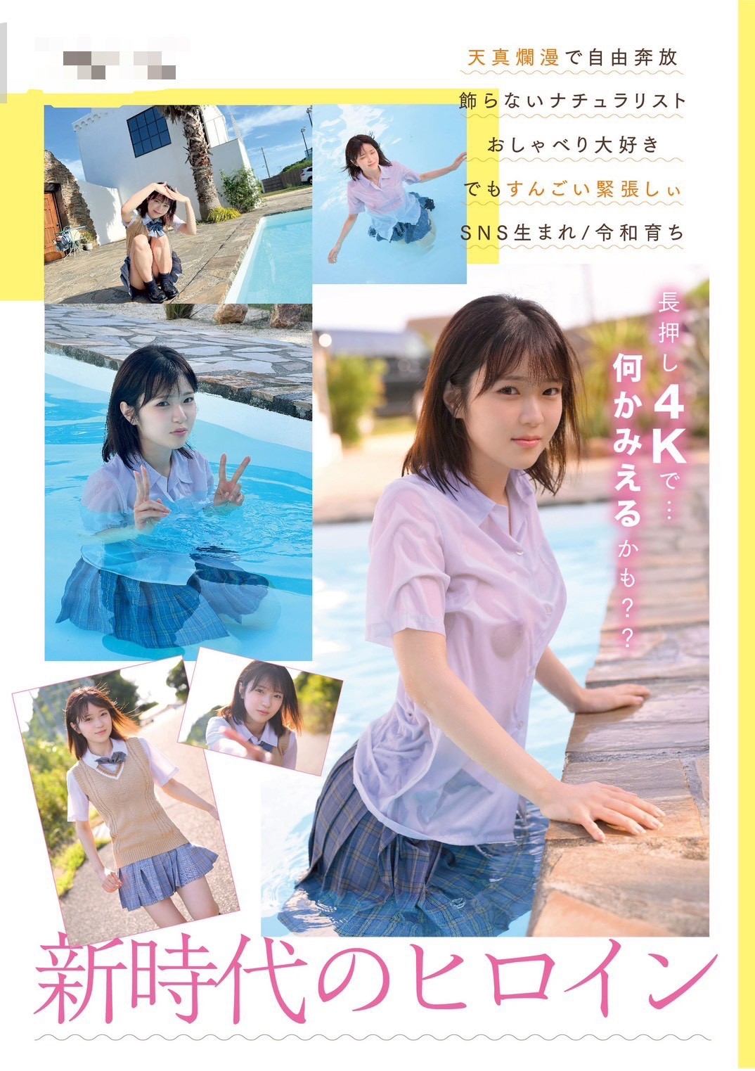 根鈴菜