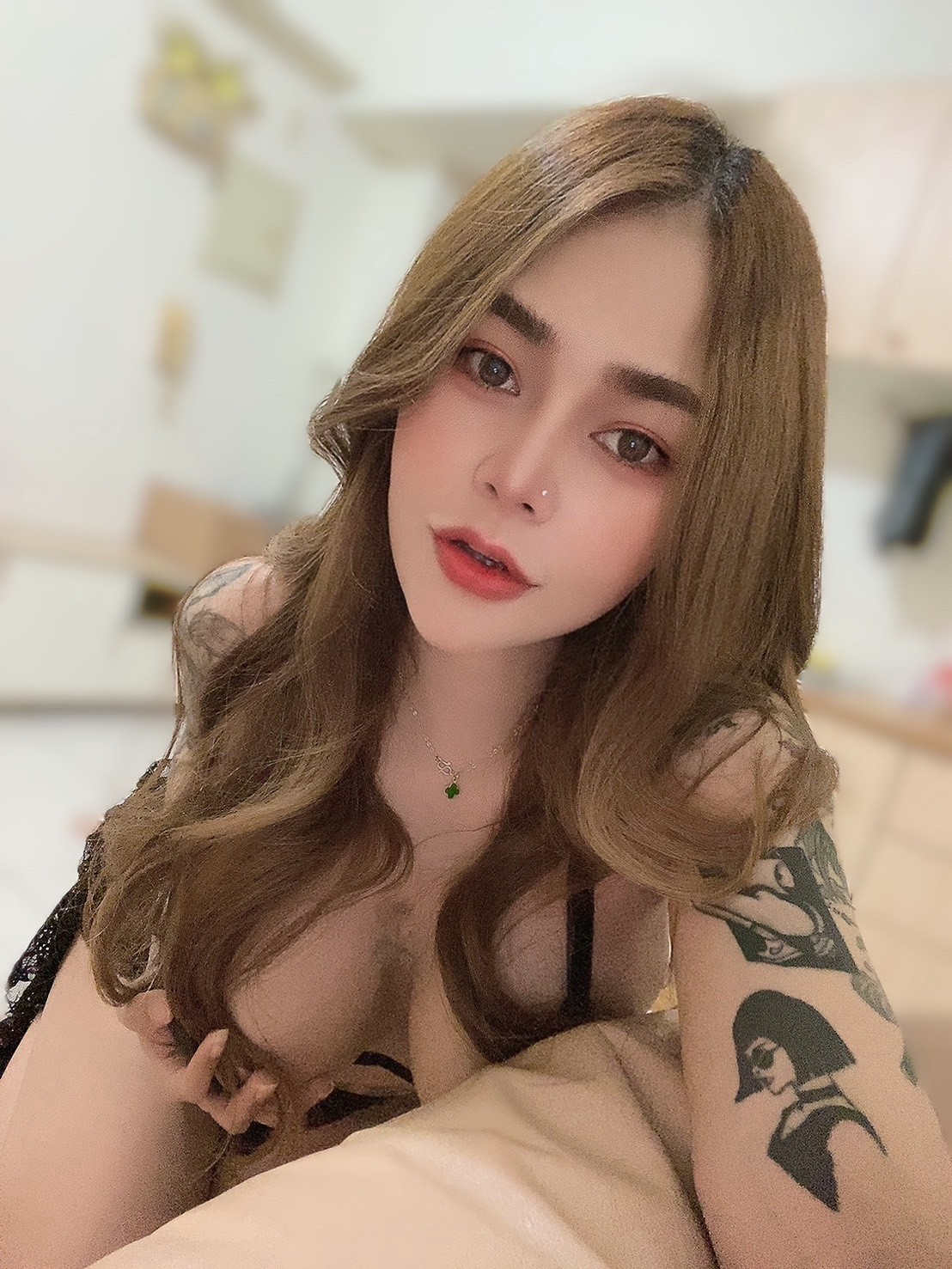 泰迪