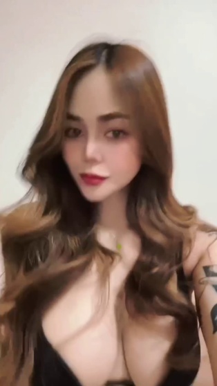 泰迪