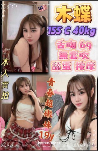 木蝶