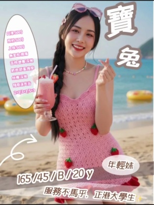 寶兔